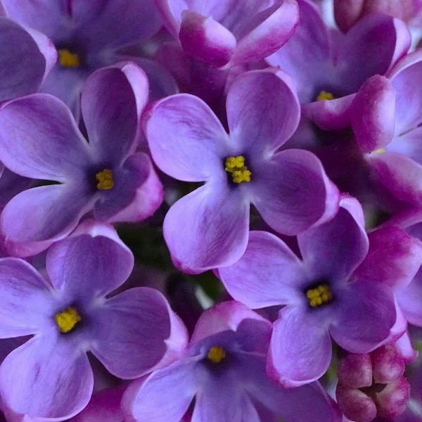 易游体育棋牌游戏